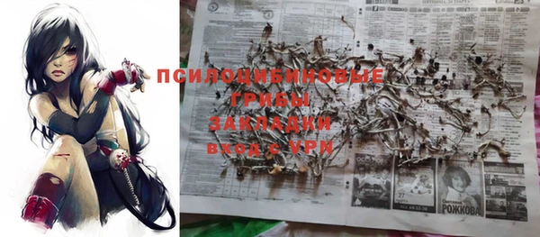 мяу мяу мука Волоколамск