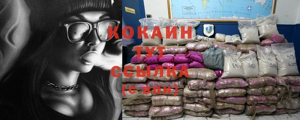 мяу мяу мука Волоколамск