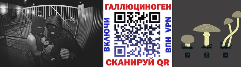 цены наркотик сайты даркнета клад Галлюциногенные грибы Psilocybine cubensis Кашира